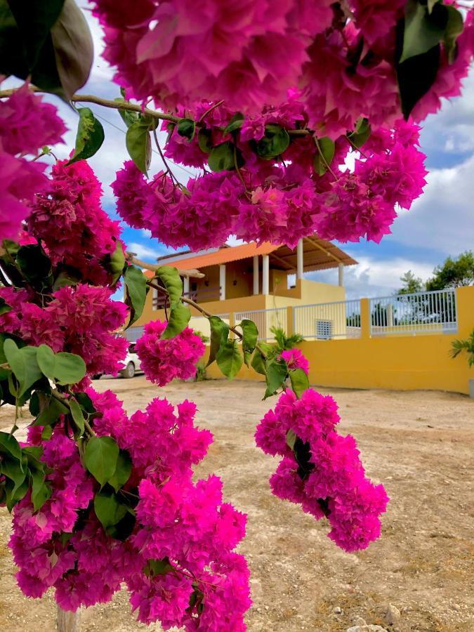 Chacara Recanto Dos Ventos - Ubajara-Ce Экстерьер фото